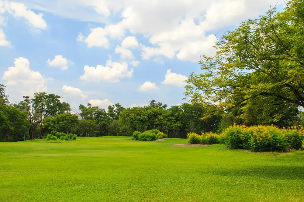 Créez un jardin unique avec votre paysagiste localwebp